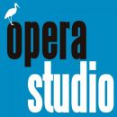 World class training in Madrid: Apply now for OPERASTUDIO 17/18 – organized by University of Alcalá