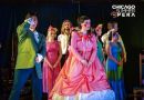 Applications are now open for Chicago Summer Opera’s 2027 season!
