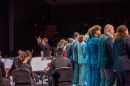 Opera Theatre of Saint Louis 2025 deadline this Friday: attention stage directors!