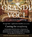 Grand Voci Competition: deadline 11/30!