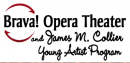 The Brava! Opera Theater Vocal Competition 2014 application is live!