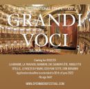 Grand Voci Competition: deadline 6/30!